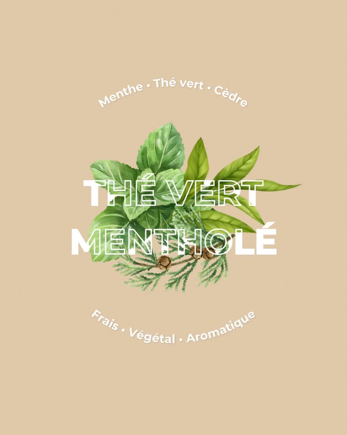 Thé vert mentholé - Édition limitée - LUM